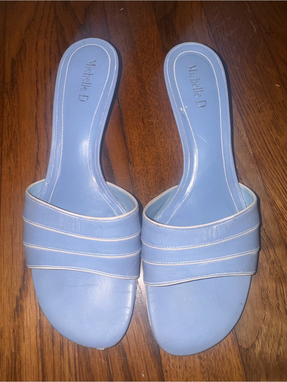 Michelle D Sky Blue Slip-On Mule Sandals